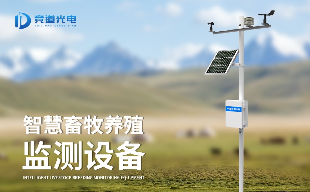 养殖厂氨气监测仪 养殖厂氨气监测仪