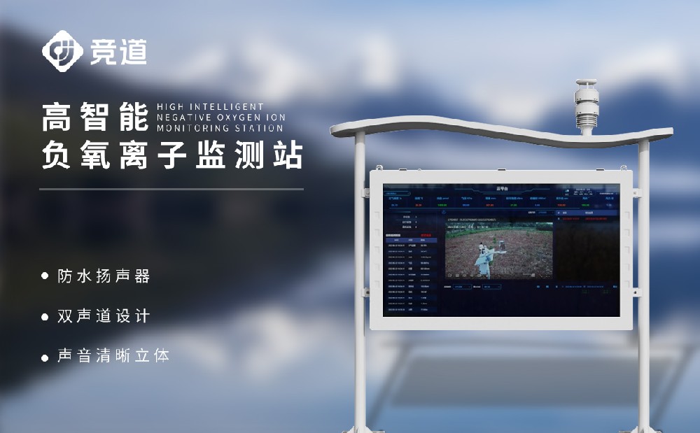 负氧离子监测仪