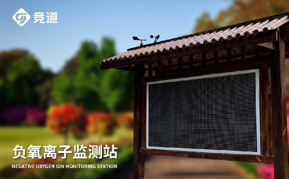 大气负离子监测系统 大气负离子监测系统